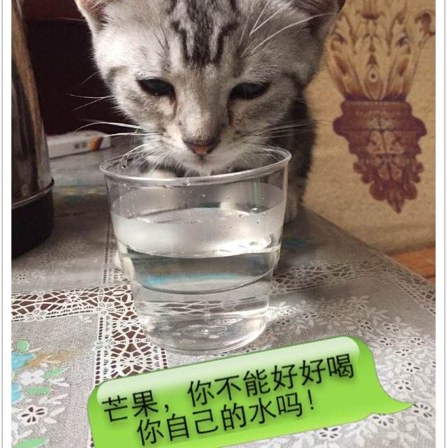 办理威廉姆斯学院毕业证